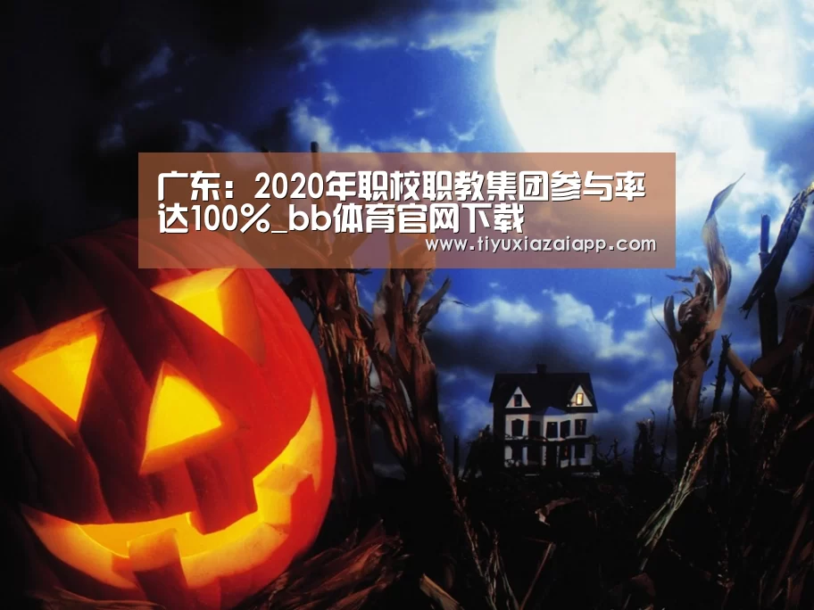 广东:2020年职校职教集团参与率达100%_bb体育官网下载(图2) b体育下载官网