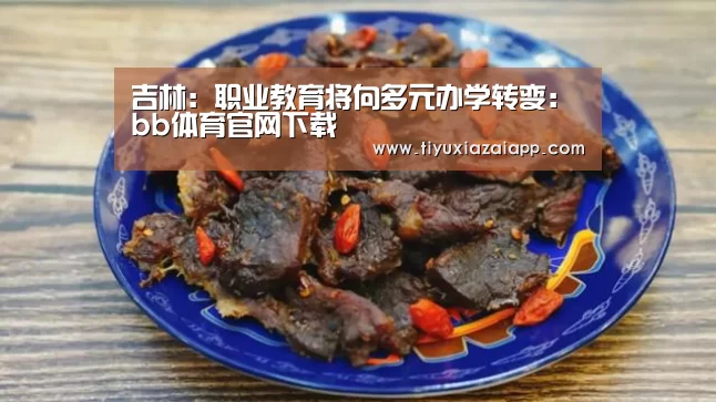 吉林:职业教育将向多元办学转变:bb体育官网下载(图1) b体育下载app